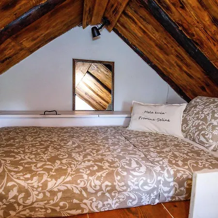 Amazing In * Puljane