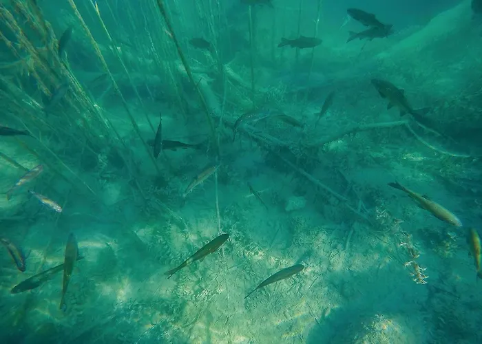 Amazing In בית נופש *